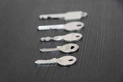 Schlüsselarten
